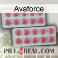 Avaforce 19